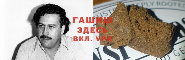 индика Белокуриха