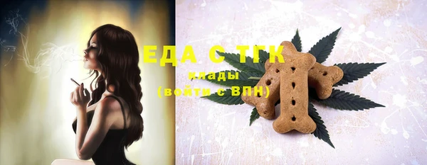 индика Белокуриха