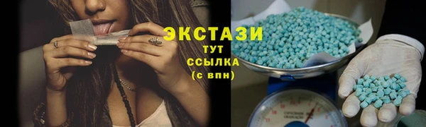 индика Белокуриха