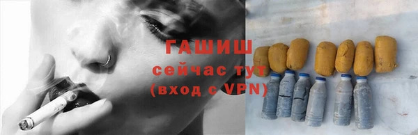 индика Белокуриха