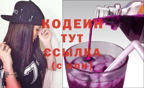 индика Белокуриха