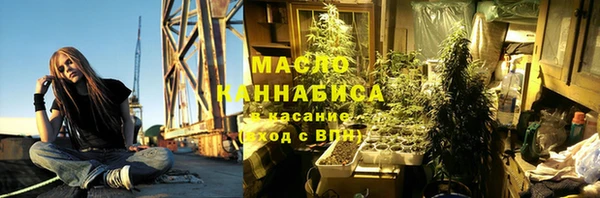 индика Белокуриха