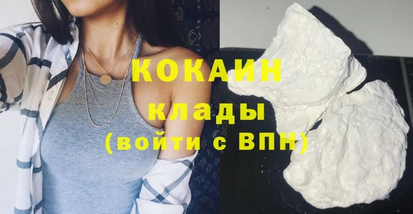 индика Белокуриха