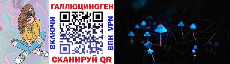Галлюциногенные грибы Psilocybe где найти наркотики Верещагино
