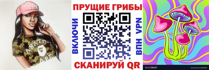 Псилоцибиновые грибы ЛСД Верещагино